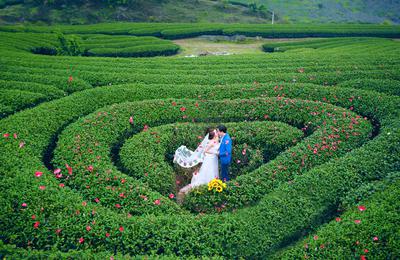 Chụp hình cưới Đà Lạt trọn gói – Ghi lại vẻ đẹp của tình yêu chỉ với giá 22.000.000VNĐ